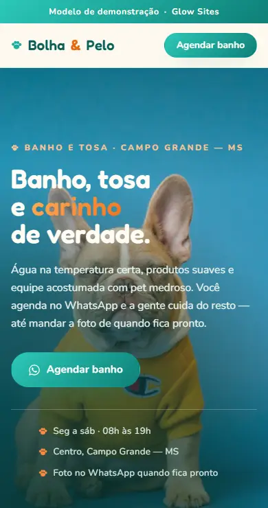 Prévia do modelo Bolha & Pelo para pet shop
